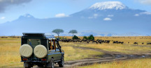 Kenia: 5 dagen safari
